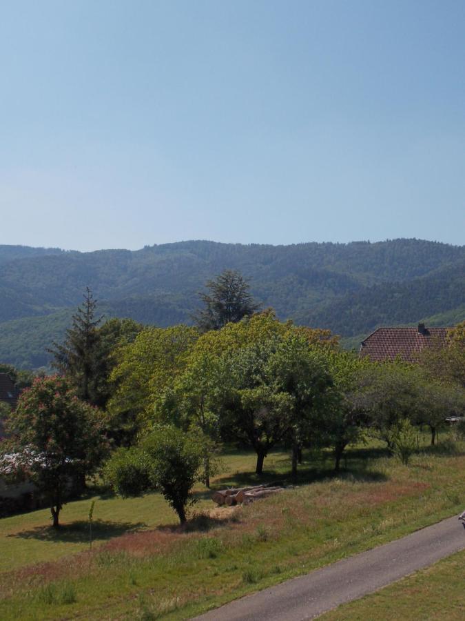 فيلا Maison De Vacances "Le Longchamp" Osenbach المظهر الخارجي الصورة